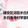 建安區(qū)河街鄉(xiāng)白兔寺村學(xué)雷鋒志愿服務(wù)隊(duì)（關(guān)于建安區(qū)河街鄉(xiāng)白兔寺村學(xué)雷鋒志愿服務(wù)隊(duì)介紹）