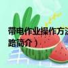 帶電作業(yè)操作方法配電線路（關于帶電作業(yè)操作方法配電線路簡介）