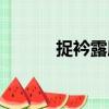 捉衿露肘（關(guān)于捉衿露肘簡介）