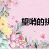 望哨的拼音（望哨的拼音及解釋）