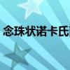 念珠狀諾卡氏菌（關(guān)于念珠狀諾卡氏菌介紹）
