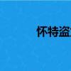 懷特盜龍（關(guān)于懷特盜龍介紹）