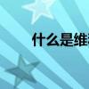什么是維和部隊(duì)（維和部隊(duì)的介紹）