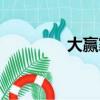 大贏家演員表（劇情簡(jiǎn)介）