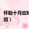 懷胎十月應知應會（關于懷胎十月應知應會介紹）