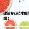 建筑專業(yè)技術(shù)細節(jié)與要點（關(guān)于建筑專業(yè)技術(shù)細節(jié)與要點介紹）