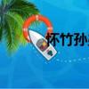 懷竹孫弟（關(guān)于懷竹孫弟介紹）