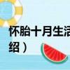 懷胎十月生活宜忌（關于懷胎十月生活宜忌介紹）