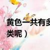 黃色一共有多少種分別叫什么（黃色有多少種類呢）