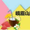 峨眉山歌（關(guān)于峨眉山歌簡(jiǎn)介）