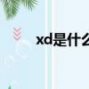 xd是什么意思（網(wǎng)絡(luò)語(yǔ)xd是意思）