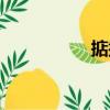 掂掇（關(guān)于掂掇簡介）