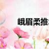 峨眉柔推術(shù)（關(guān)于峨眉柔推術(shù)簡介）
