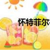 懷特菲爾德（關(guān)于懷特菲爾德介紹）