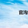 官溝組（關(guān)于官溝組介紹）