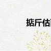 掂斤估兩（關(guān)于掂斤估兩簡介）
