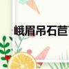 峨眉吊石苣苔（關(guān)于峨眉吊石苣苔簡介）