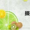 掇掇（關(guān)于掇掇簡介）