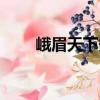 峨眉天下秀（關(guān)于峨眉天下秀簡(jiǎn)介）
