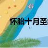 懷胎十月圣經（關于懷胎十月圣經介紹）