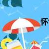 懷竹（關(guān)于懷竹介紹）