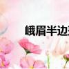 峨眉半邊蓮（關(guān)于峨眉半邊蓮簡介）