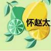 懷趙太史（關(guān)于懷趙太史介紹）