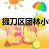 掇刀區(qū)團林小學(xué)（關(guān)于掇刀區(qū)團林小學(xué)簡介）