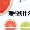 建檔線什么意思（建檔線意思是什么）