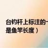 臺(tái)釣桿上標(biāo)注的十八尺是什么意思（臺(tái)釣桿上標(biāo)注的十八尺是魚竿長度）