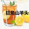 捻角山羊頭像（關于捻角山羊頭像簡介）