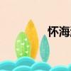 懷海濤（關(guān)于懷海濤介紹）