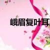 峨眉復(fù)葉耳蕨（關(guān)于峨眉復(fù)葉耳蕨簡(jiǎn)介）