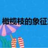 橄欖枝的象征意義是什么（橄欖枝有啥寓意）