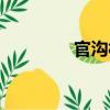 官溝村（關(guān)于官溝村介紹）