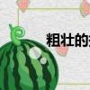 粗壯的拼音（詞語粗壯怎么讀）