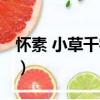 懷素 小草千字文（關(guān)于懷素 小草千字文介紹）
