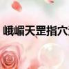 峨嵋天罡指穴法（關(guān)于峨嵋天罡指穴法簡介）