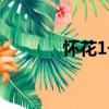 懷花1號（關于懷花1號介紹）
