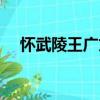 懷武陵王廣文（關(guān)于懷武陵王廣文介紹）