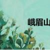 峨眉山A（關(guān)于峨眉山A簡(jiǎn)介）