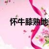 懷牛膝熟地粥（關(guān)于懷牛膝熟地粥介紹）