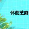 懷藥芝麻酥（關(guān)于懷藥芝麻酥介紹）