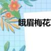 峨眉梅花草（關(guān)于峨眉梅花草簡介）