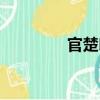 官楚?。P(guān)于官楚印介紹）