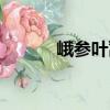 峨?yún)⑷~蒿（關(guān)于峨?yún)⑷~蒿簡(jiǎn)介）
