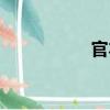 官本（關(guān)于官本介紹）