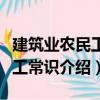 建筑業(yè)農(nóng)民工務(wù)工常識(shí)（關(guān)于建筑業(yè)農(nóng)民工務(wù)工常識(shí)介紹）
