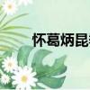 懷葛炳昆季（關(guān)于懷葛炳昆季介紹）