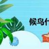 候鳥什么意思（什么是候鳥）